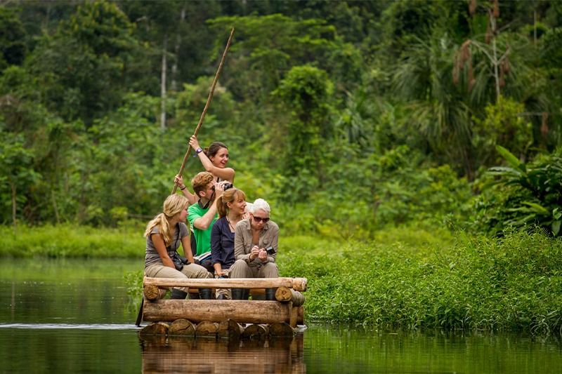 Eco-Tourism in Tropical Rainforests